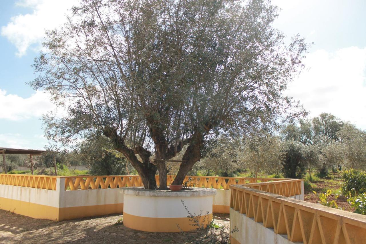 Montinho Do Palanque Villa เวียนา ดู อเลนเตโฆ ภายนอก รูปภาพ