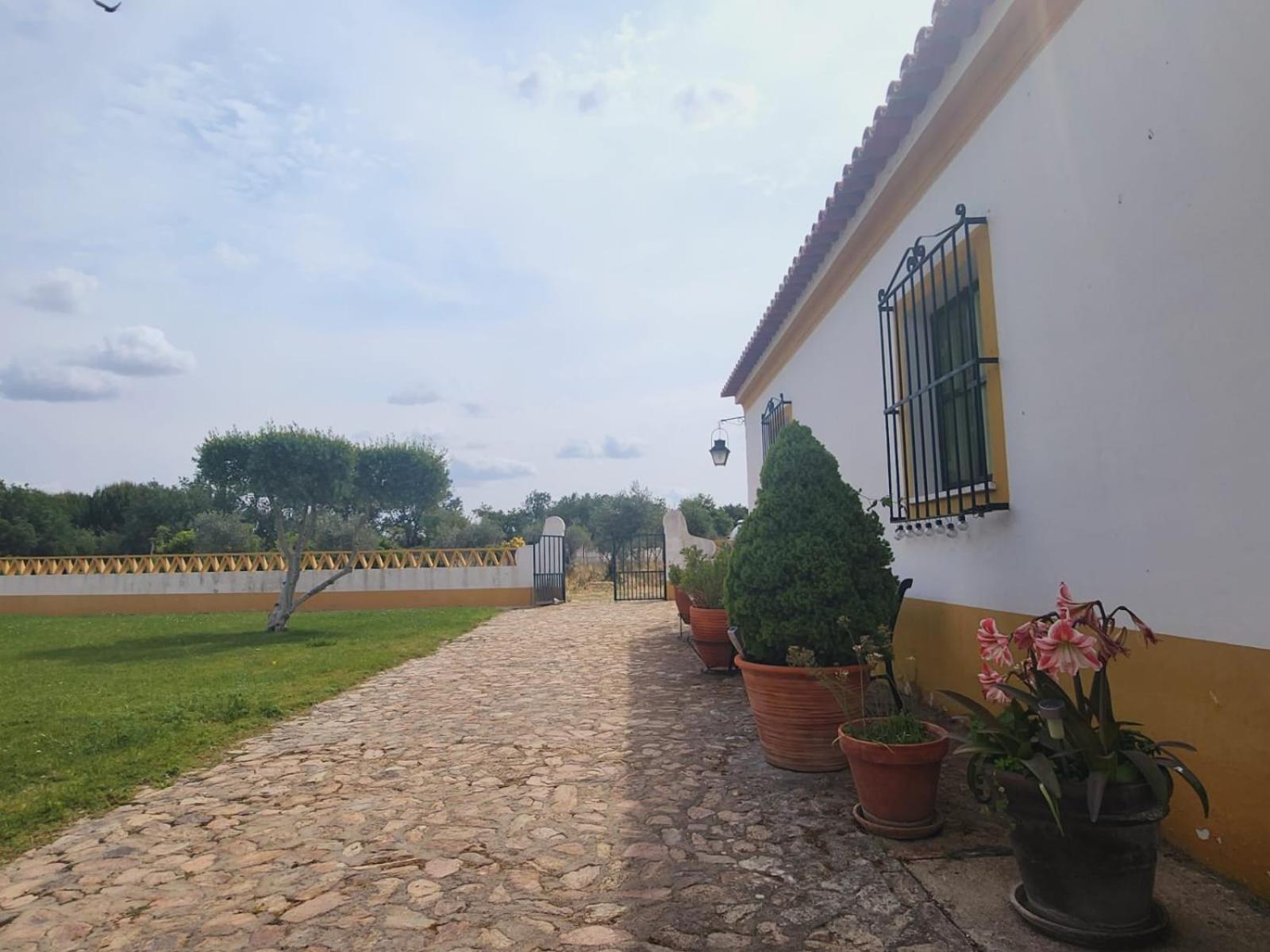Montinho Do Palanque Villa เวียนา ดู อเลนเตโฆ ภายนอก รูปภาพ