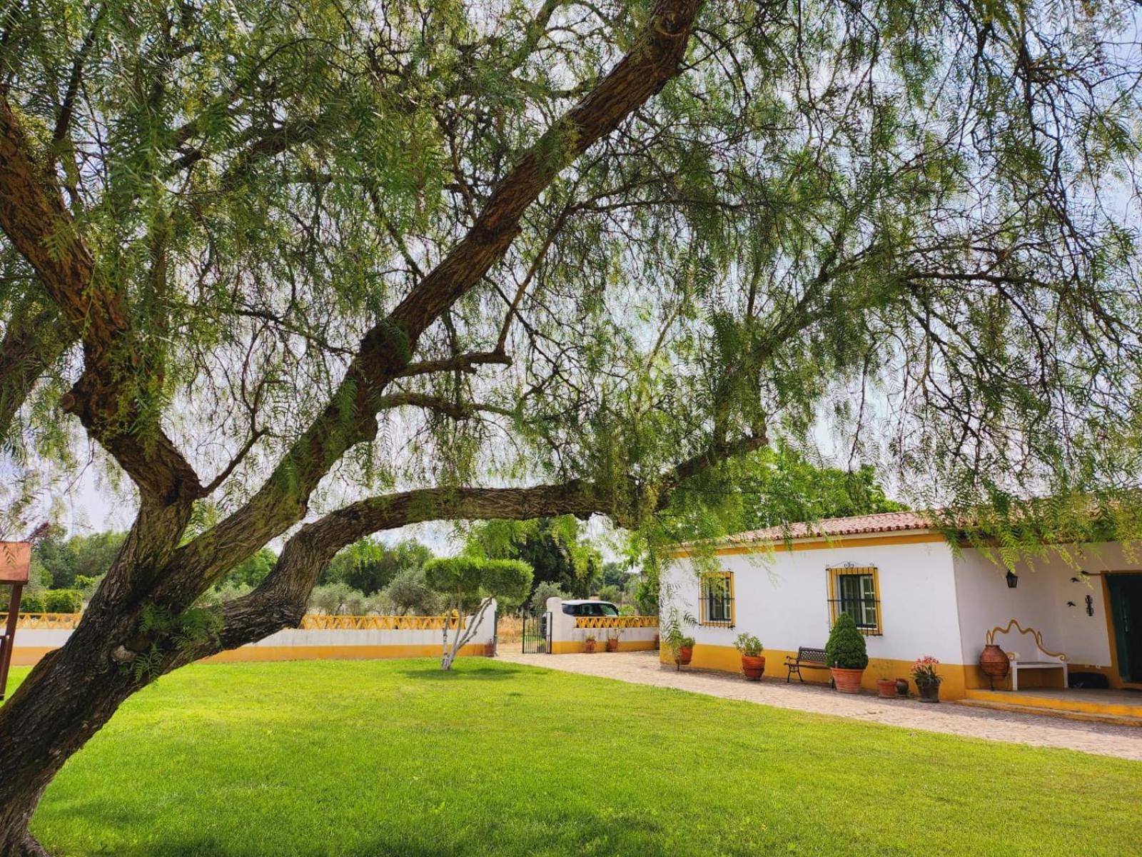Montinho Do Palanque Villa เวียนา ดู อเลนเตโฆ ภายนอก รูปภาพ