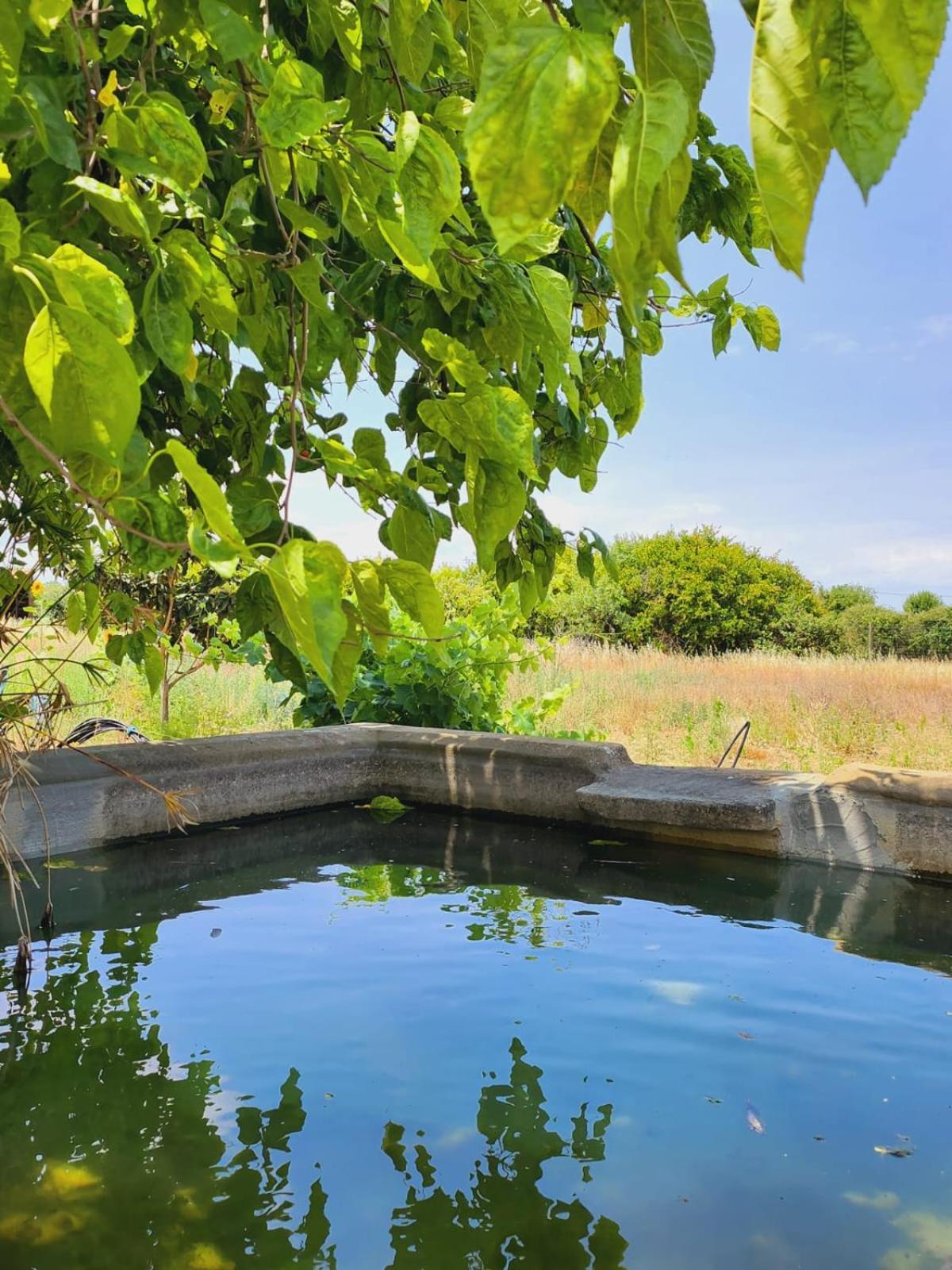 Montinho Do Palanque Villa เวียนา ดู อเลนเตโฆ ภายนอก รูปภาพ