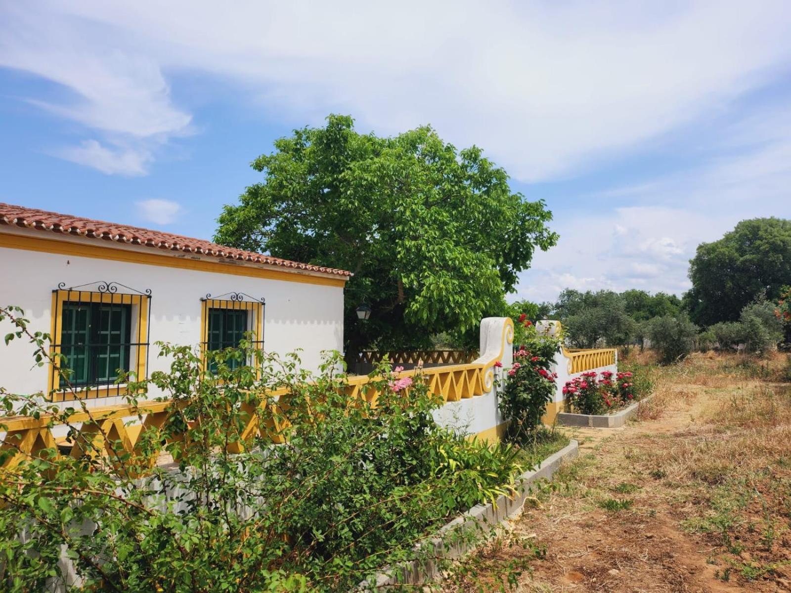 Montinho Do Palanque Villa เวียนา ดู อเลนเตโฆ ภายนอก รูปภาพ